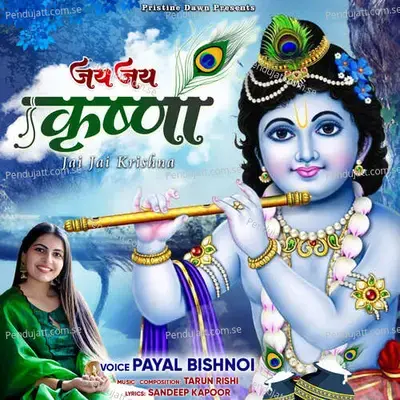 Jai Jai Krishna - Payal Bishnoi album cover 