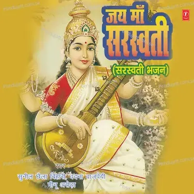 Ae Ma Sun Lo Dil Ki Pukaar - Vinay Panwari album cover 