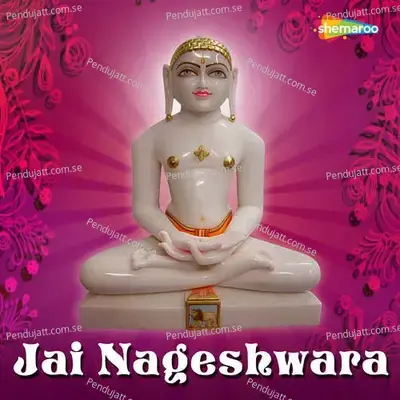 Jai Nageshwara - Amey Date cover album