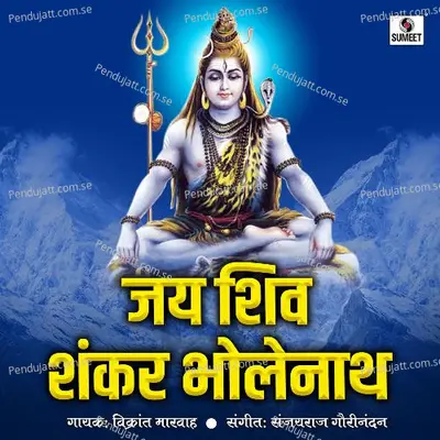 Jai Shiv Shankar Bholenath - Vikrant Marwah album cover 