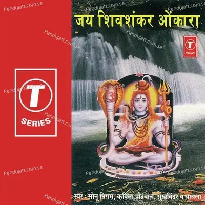 Jai Shiv Shankar Onkara - Natraj cover album