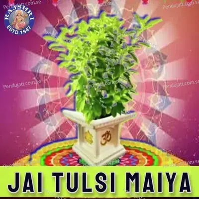 Tulasi Vivah Pooja Vidhi - Shivnarayan Tiwari album cover 