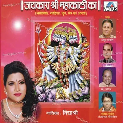 Shri Mahakali Aarti - Vidhyshree album cover 