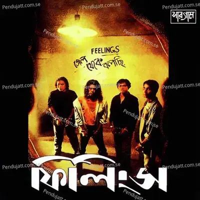 Neel Akash - Feelings album cover 
