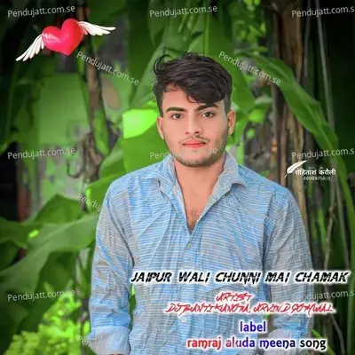 Jaipur Wali Chunni Mai Chamak - DJ BANTI KANOTA album cover 