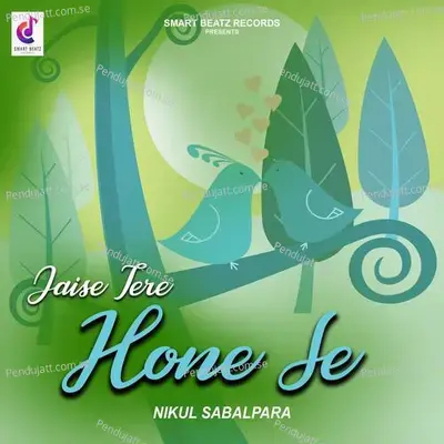 Jaise Tere Hone Se - Nikul Sabalpara album cover 