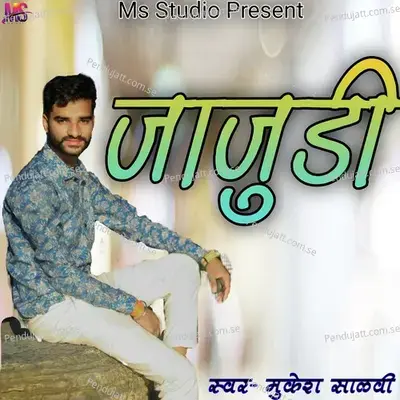 Jajudi - Mukesh Salvi album cover 