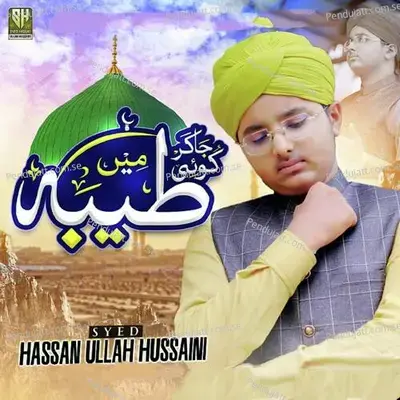 Jakar Koi Taiba Mein - Syed Hassan Ullah Hussaini album cover 