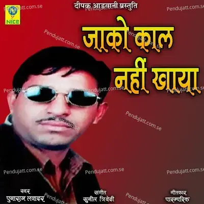 Jako Kaal Nahi Khaya - Punaram Lavadar album cover 