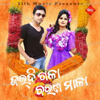 Jaldi Gala Baranamala - Pami album cover 