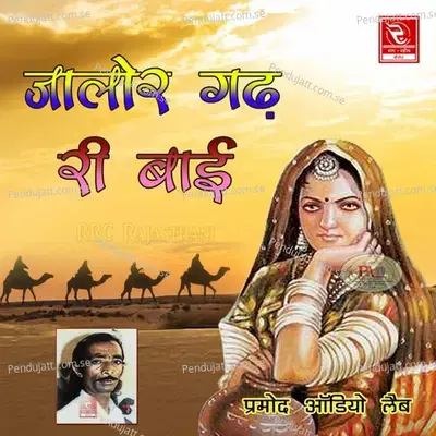 Bira Unchi Chadu Ne Nichi Utru - Shri Kishan Parihar album cover 