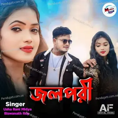 Jalpari - Biswanath Roy album cover 