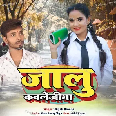 Jalu Collageya - Dipak Diwana album cover 