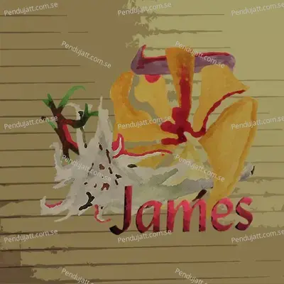 James - James cover album