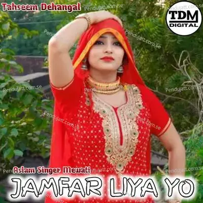 Jamfar Liya Yo - Tahseem Dehangal album cover 