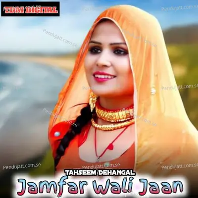 Jamfar Wali Jaan - Tahseem Dehangal album cover 