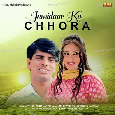 Jamidaar Ka Chhora - Tarun Panchal (TR Music) album cover 