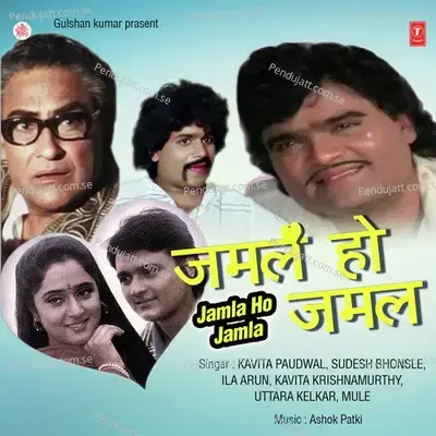 Tu Mala Tula Mi Disle - Anuradha Paudwal album cover 