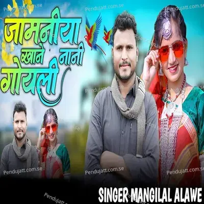 Jamniya Khane Nani Goyali - Mangilal Alawe album cover 