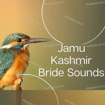 Jamu Kashmir Bride Sounds - Lakhan Hire