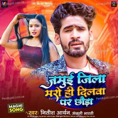 Jamui Jila Maro Hai Dilwa Par Chhauda - Nitish Aryan
