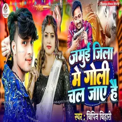 Jamui Jila Me Goli Chal Jay He - Bipin Bihari album cover 