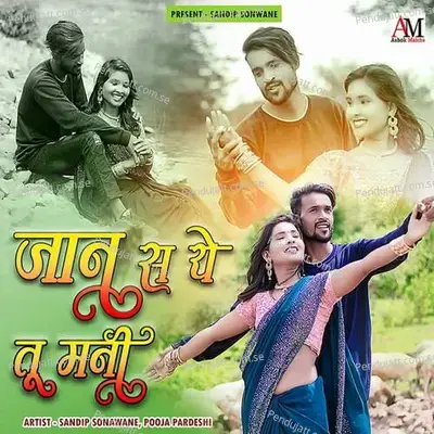 Jan S Ye Tu Mani - Sandip Sonawane album cover 