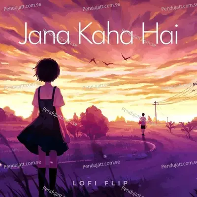 Jana Kaha Hai - Sulakshana Pandit album cover 