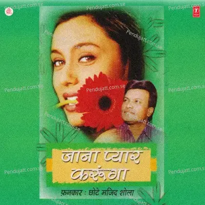 Main Pardesi Hoon - Mahesh Prabhakar album cover 