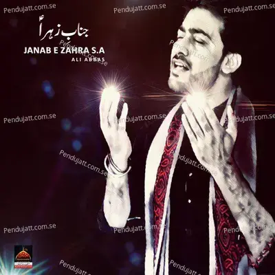 Janab E Zahra S a - Ali Abbas album cover 