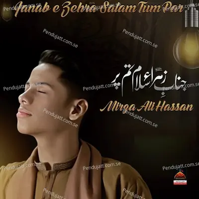 Janab E Zehra Salam Tum Par - Mirza Ali Hassan album cover 