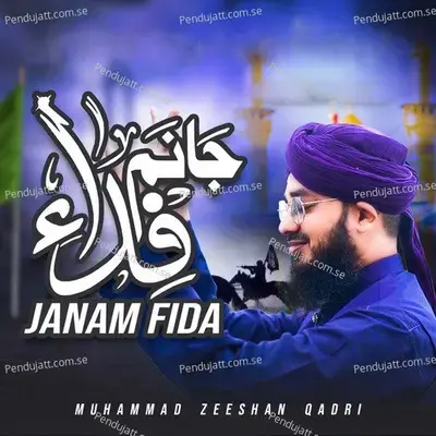 Mairaj Ko Aqa Jaty Hain - Syed Rehan Qadri album cover 