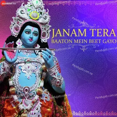 Janam Tera Baaton Mein Beet Gayo - Rini Chandra album cover 