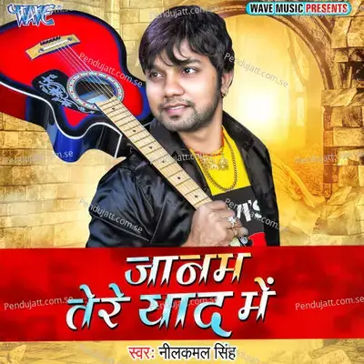 Janam Tere Yaad Me - Neelkamal Singh album cover 