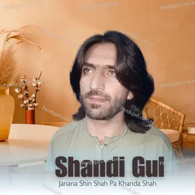 Janana Shin Shah Pa Khanda Shah - Shandi Gul album cover 