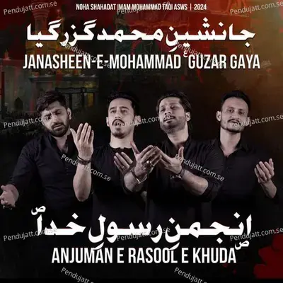 Janasheen E Mohammed Guzar Gaya - Anjuman E Rasool E Khuda album cover 