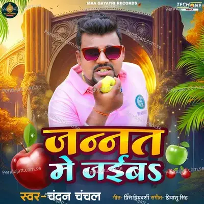Janat Me Jaiba - Chandan Chanchal album cover 