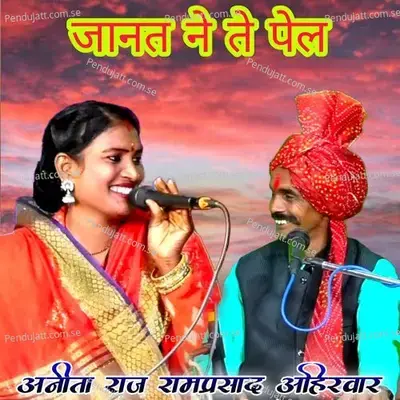 Janat Ne Te Pel - Anita Raj album cover 