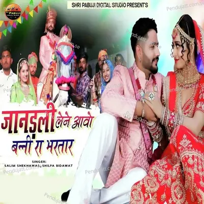 Jandali Lene Aavo Banni Ra Bhartar - Salim Shekhawas album cover 