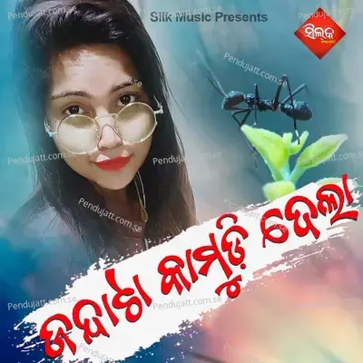 To Thikanare Mo Sabari - Rinky album cover 