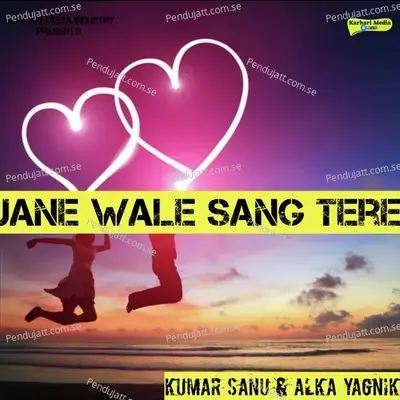 Jane Wale Sang Tere - Kumar Sanu album cover 