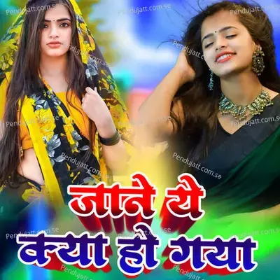 Jane Ye Kya Ho Gaya - Hemlata album cover 