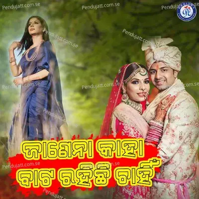 Janena Kaha Bata Rahichhi Chahin - Hrudananda Sahoo album cover 