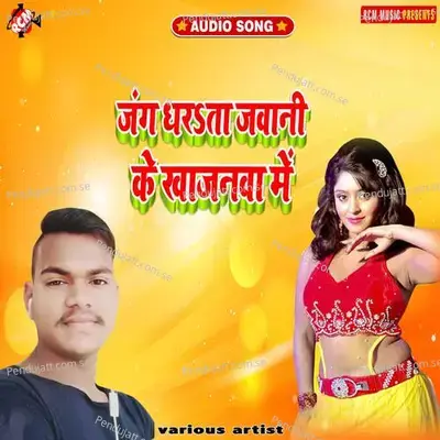 Chhotaki Diwani Hoi Chhai Sar Ji Par - Dharmendra Dhadkan album cover 