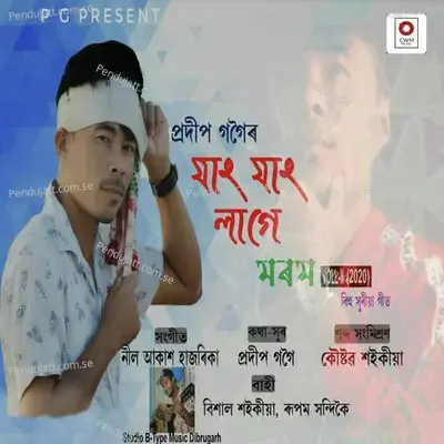 Jang Jang Lage - Pradip Gogoi album cover 