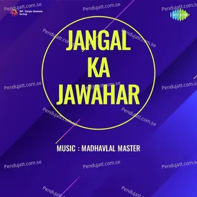 Jangal Ka Jawahar - Madhavlal Master cover album