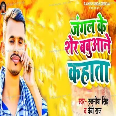 Jangal Ke Sher Babuaane Kahata - Baby Raj album cover 