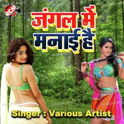 Ake Routi Me Milo - Amresh Singh And Anita Shiwani album cover 