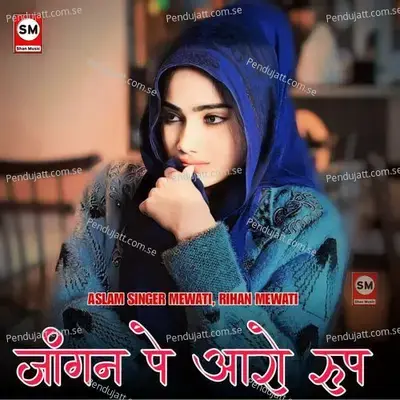 Jangan Pe Aaro Roop - Aslam Singer Mewati album cover 