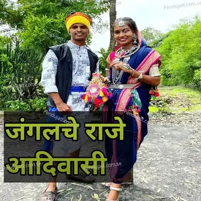 Janglche Raje Adivasi - Roshani Toke album cover 